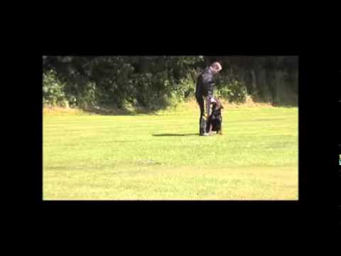 Nando Störtebeker & Nadine Möller IPO I Abt C 95 Punkte