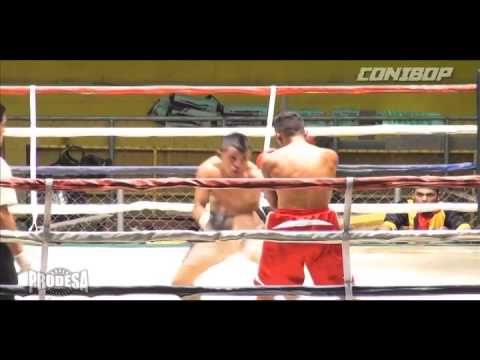Pelea Eliezer Gazo vs Francisco Vargas - CONIBOP