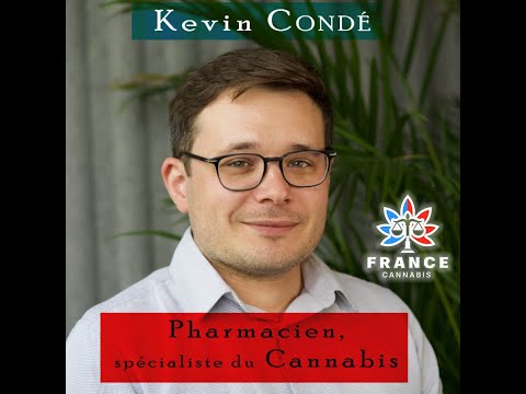 Interdiction des néocannabinoïdes en 2024 ?