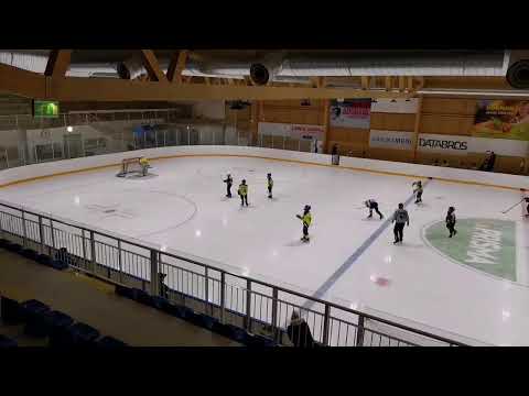 U12 S-Kiekko Sininen vs Kraft Hockey 30.1.2022