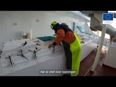 poster-bild för video