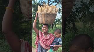 Download lagu Jondra le orec keda #shorts #video #tumal jarwa channel mp3 Download lagu Jondra le orec keda #shorts #video #tumal jarwa channel mp3