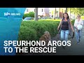 Huisdier kwijt? Schakel speurhond Argos in!