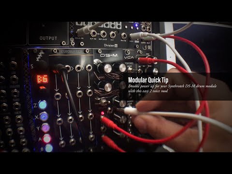 Easy 2 Voice Mod for Synthrotek DS-M | Modular Quick Tip
