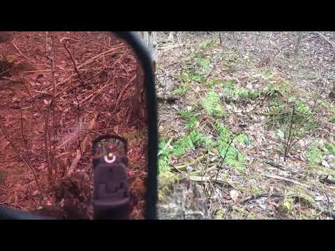 Oakley prizm trail torch with red dot