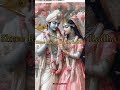 Shri Radhe Radhe Radhe Barsane Wali Radhe Status Subscribe Krishna Shortvideo Songs