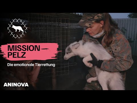 Mission Pelz: Emotionale Tierrettung - Episode 2 🐾❤️