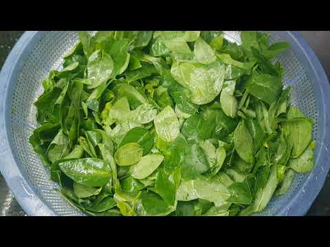 Cách nấu canh rau ngót đúng cách