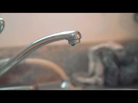 FrontDoorRalph x FrontDoorKwon - Chromosome