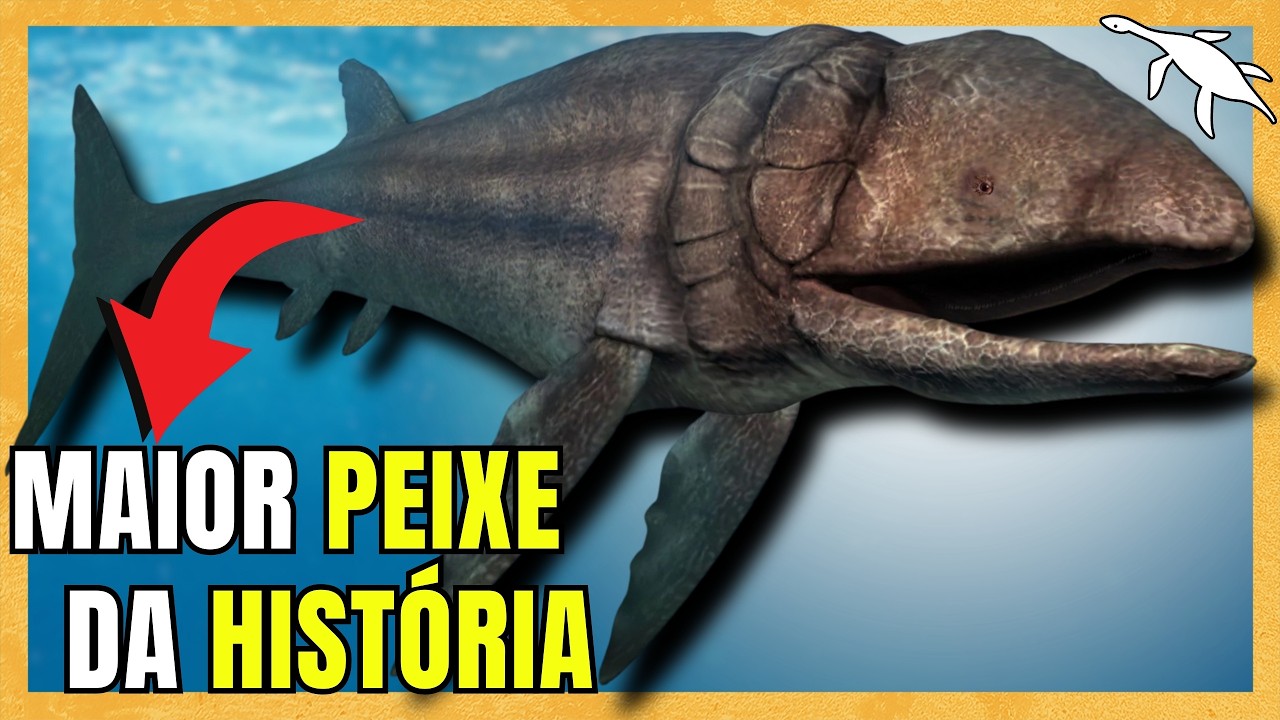 The LARGEST ANIMALS in the OCEAN