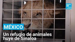 Thumbnail del capítulo