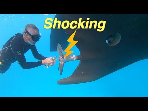 Aluminum Sailboat Pt 18 - Shore Power SAFETY and ELECTRICITY on Boats | EP 239