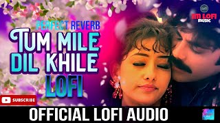 Tu Mile Dil Khile Lofi | ImLofi | Kumar Sanu | Alka Yagnik | Criminal | Nagarjuna | Manisha K |