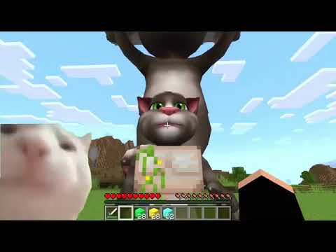 I found TALKING TOM HOLDING FLOATING ISLAND in Minecraft - Gameplay - Coffin Meme