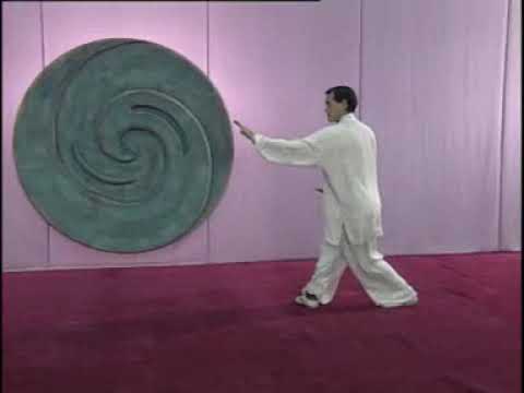 形意拳  XING YI QUAN - Wu Xing Lian Huan Quan -  basic routine - by Master WANG DEMING - Beijing China