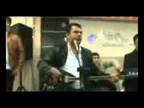 Kral Deniz Kan Çiçekleri