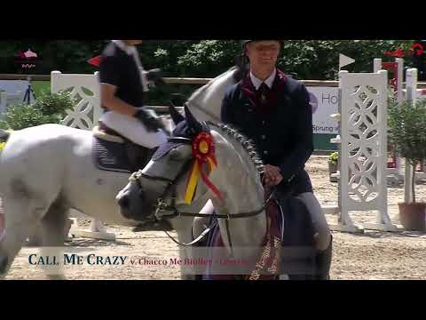 DSP Call me crazy v. Chacco Me Biolley - Levisto