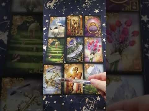 Express-Tagesorakel 14.11.2020