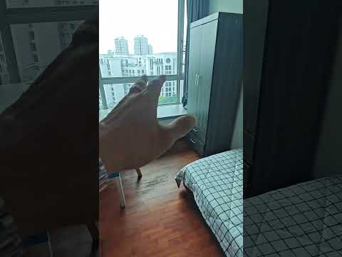 Caspian, 54 Lakeside Drive, Room Rental, 100 sqft, Condominium For Rent, by Steve Voon, 500167115 - PropertyGuru.com.sg