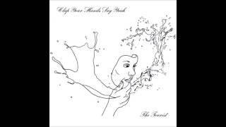 Clap Your Hands Say Yeah  - Visiting Hours