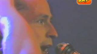BAP - live - Verdammt lang her - 1982.flv