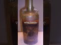 Oldest Wine Bottle in The World 🍷