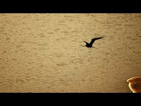 Nancy Ramos - "GUANAGUANARE"