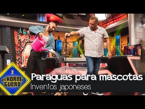 El Monaguillo conquista a Manuel Turizo con el paraguas para mascotas - El Hormiguero