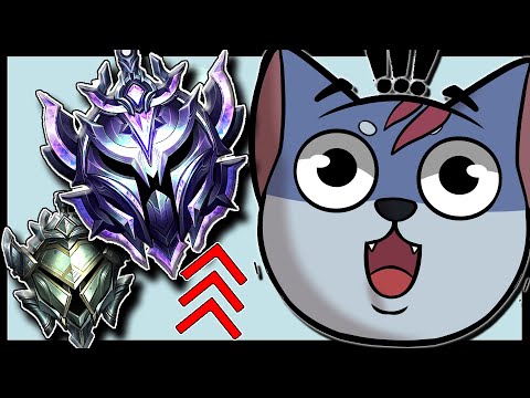 Rank 1 Warwick Beginner Guide | LOOK AHEAD