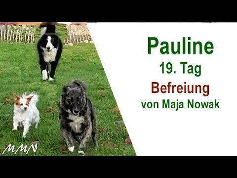 Befreiung - Pauline 14.-19.Tag - von Maja Nowak