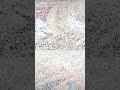 May 13 2020
