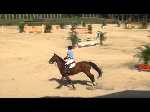 EEE Feb 2016 Daniel Marques Qualif D'Askel Prueba 8