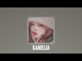 KAMELIA - (SLOW+REVERB)