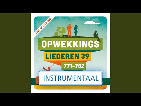Een doel (771) (Instrumentaal)
