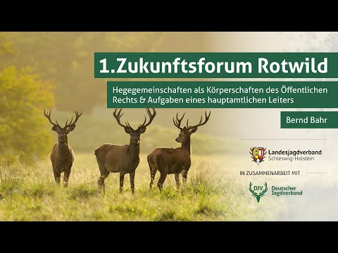 Zukunftsforum Rotwild | Teil 10: Hegegemeinschaften und die Aufgaben eines hauptamtlichen Leiters