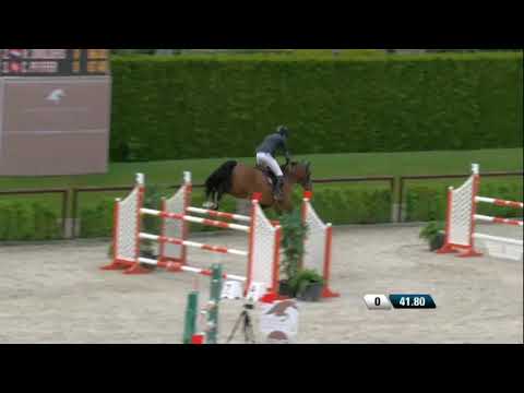 Casanova de Beaufour DXB (Kashmir van Schuttershof x Diamant de Semilly x Toulon)