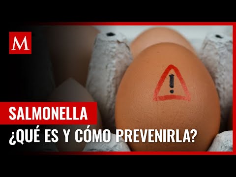 , title : 'Salmonella: ¿Qué es y por qué es importante prevenirla?'