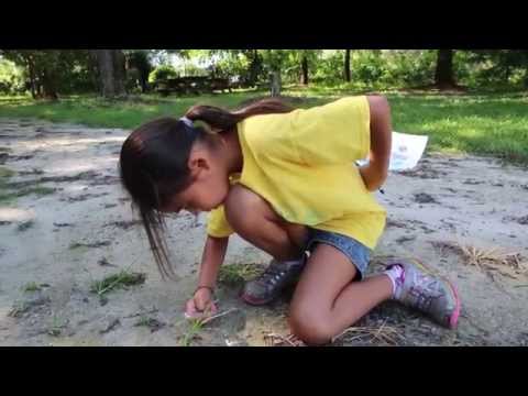 Leer para aprender: Migrant Summer Camp 2014