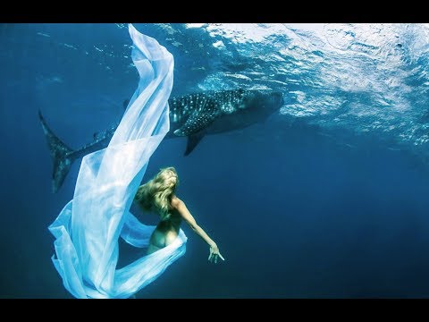 DJ Cephei – Клубняк 2017 Best RU