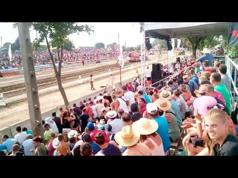 Hajdúböszörmény 2017 3-futam