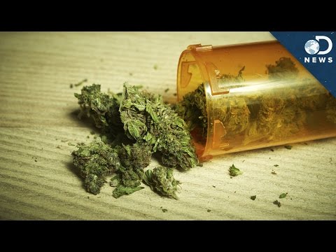 大麻會上癮嗎？ (Is Marijuana Addictive?)