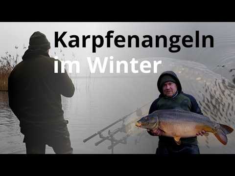Winterkarpfenangeln am 600ha Natursee | wilder Osten | Public Waters | 2026