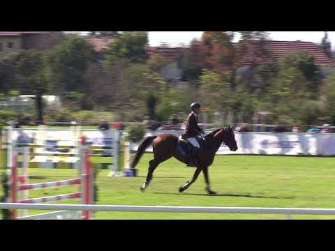 Ante Šimleša & OLYMPIC VAN T LAAR - 1,10m, Osijek 30. 09. 2018.