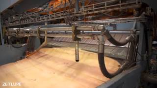Pollmeier BauBuche - Herstellung des Buchen-Furnierschichtholzes