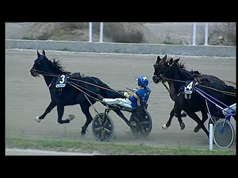 Napoli Trotto 24/12/2021 - 6ª corsa