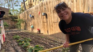 PLANTING TOMATOES IN FEBRUARY!