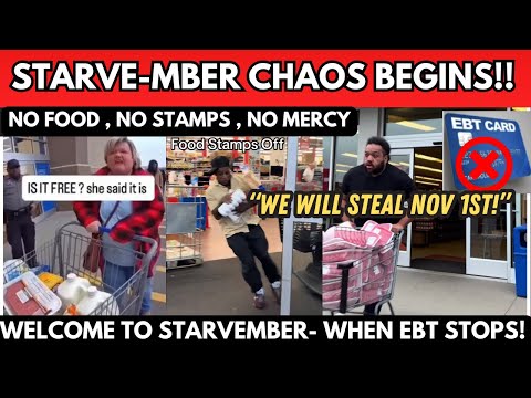 STARVEMBER MADNESS 🥶From Grocery Lines to Survival Mode 😱😳