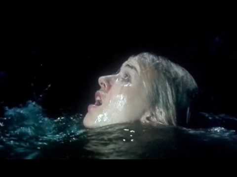 El aro 2 escena del poso