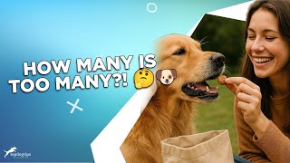 Dog Treat Limits: How Much Is Too Much?