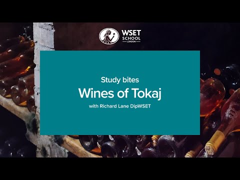 Study bites: wines of Tokaj (WSET Level 3 wine)